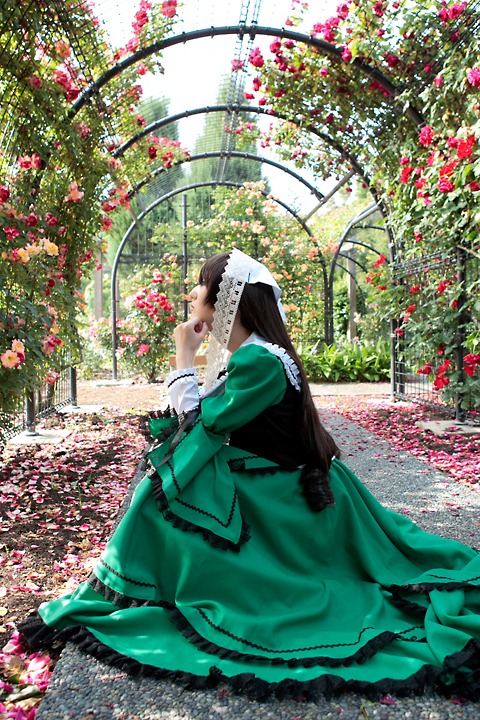 1girl dress flower gloves green_dress long_hair plant red_flower solo suiseiseki