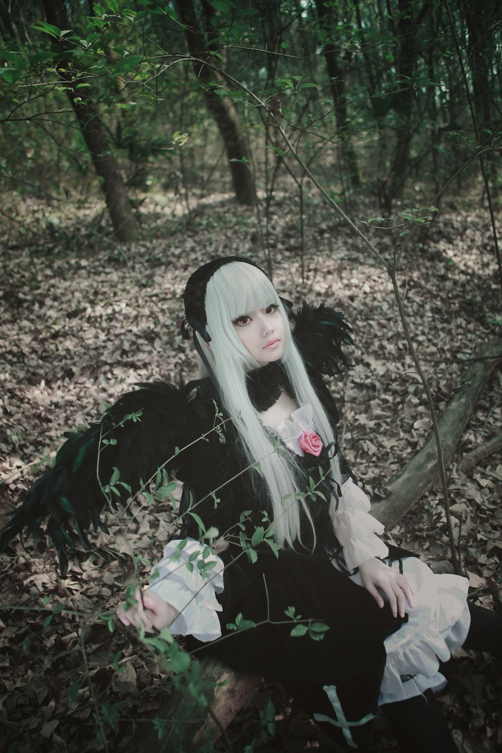 1girl bangs black_dress dress flower gothic_lolita hairband lolita_fashion long_hair long_sleeves plant red_eyes rose solo suigintou vines