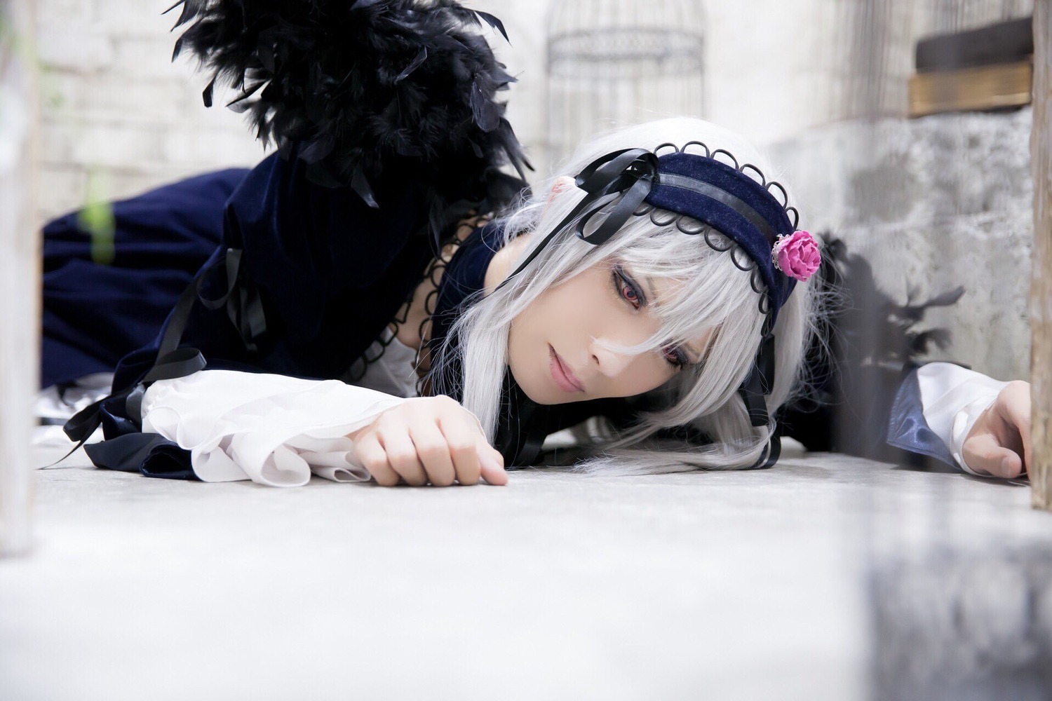 1girl blurry blurry_background blurry_foreground depth_of_field feathers flower frills gothic_lolita hairband lips lolita_fashion looking_at_viewer on_stomach photo red_eyes rose silver_hair solo solo_focus suigintou