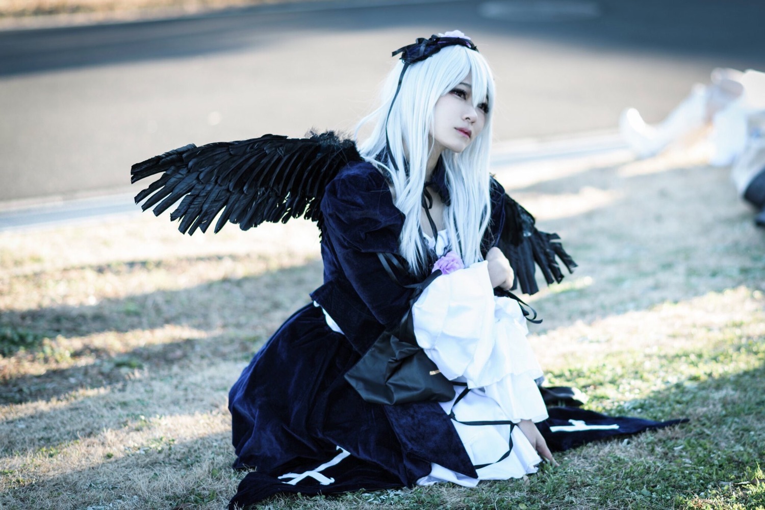 1girl black_dress black_wings blurry blurry_background blurry_foreground depth_of_field dress feathered_wings feathers long_hair long_sleeves photo sitting solo suigintou white_hair wings