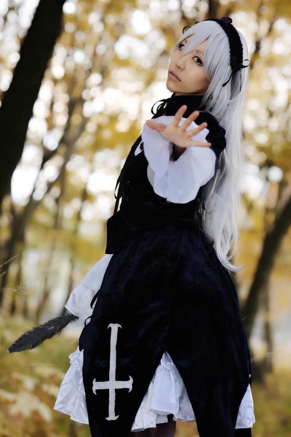 1girl black_dress blurry blurry_background blurry_foreground depth_of_field dress feathers frills hairband long_hair long_sleeves looking_at_viewer silver_hair solo standing suigintou very_long_hair