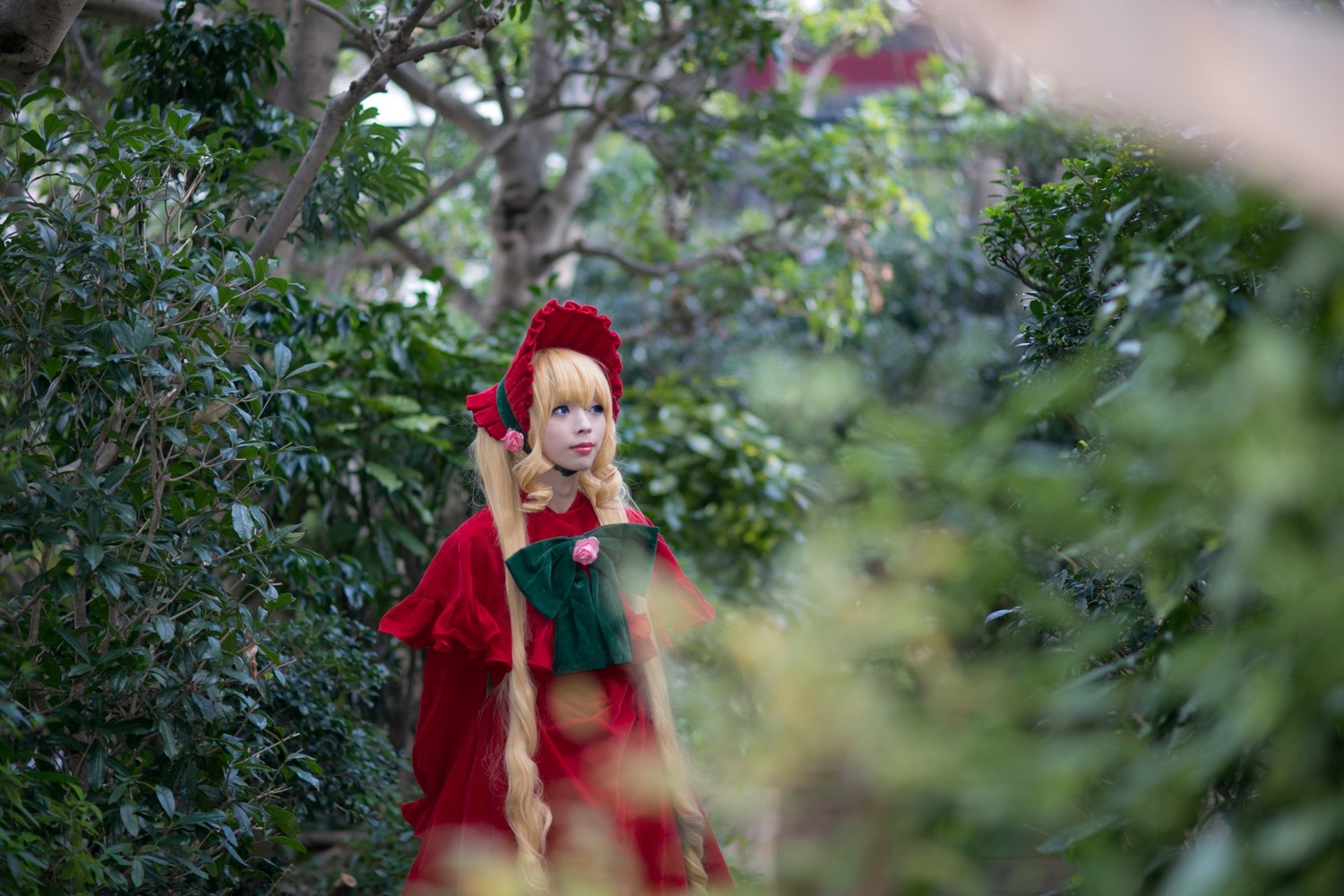 1girl blonde_hair blue_eyes blurry depth_of_field dress flower outdoors red_dress shinku solo tree