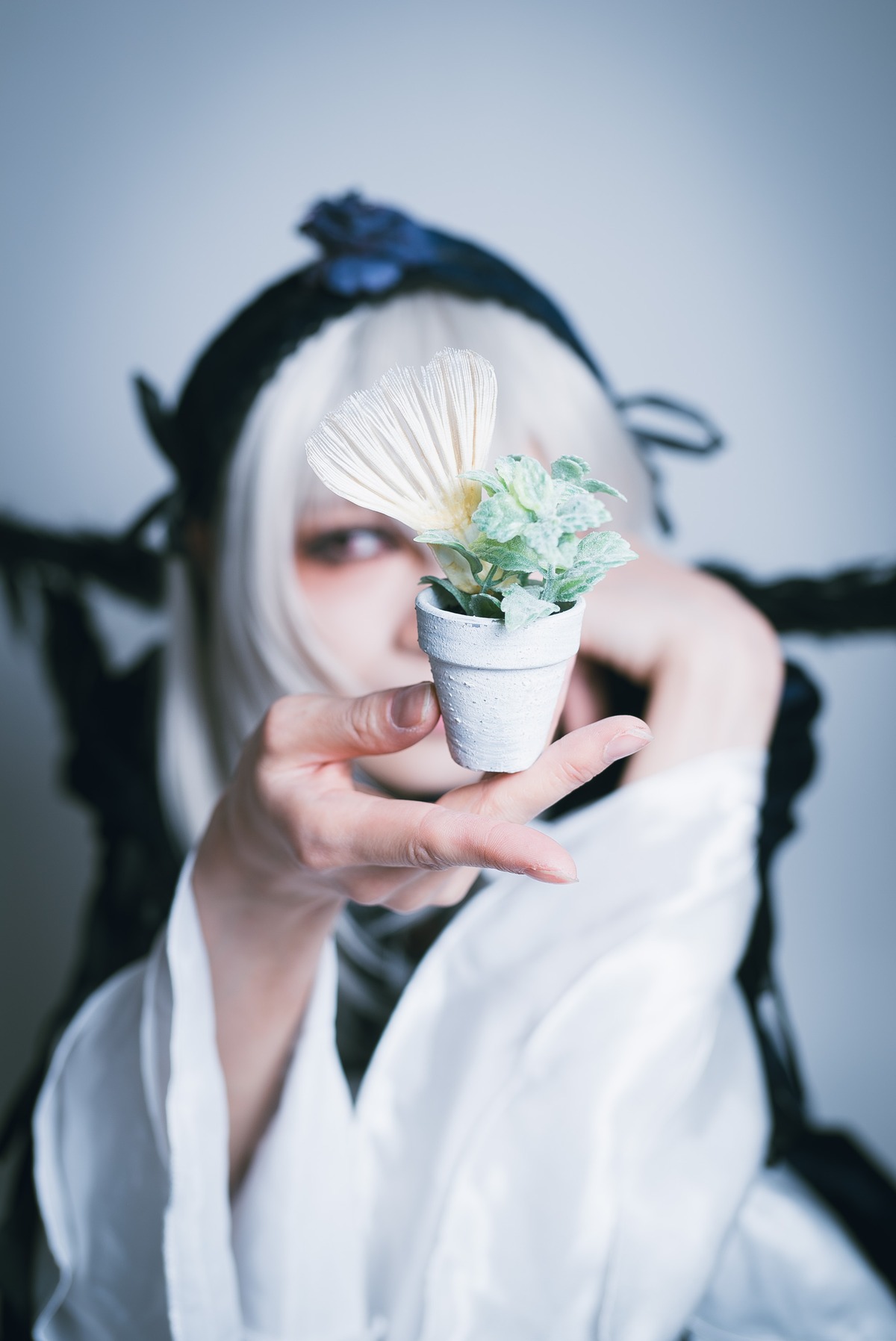 1boy 1girl blurry blurry_background blurry_foreground depth_of_field flower looking_at_viewer motion_blur photo shirt solo suigintou white_hair