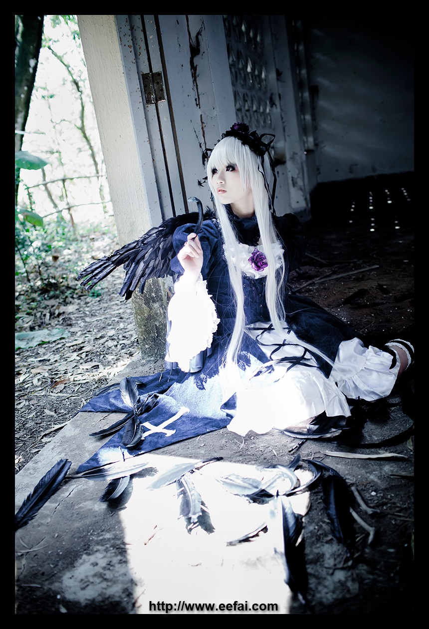 1girl bird black_border black_feathers crow dress feathers frills letterboxed long_sleeves silver_hair sitting solo suigintou wings