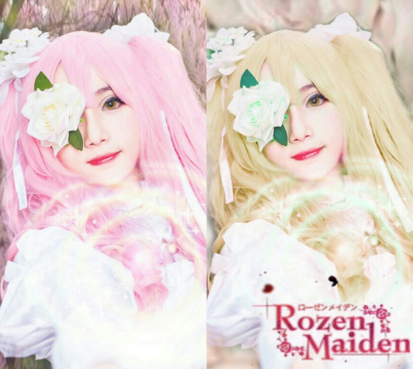 2girls blonde_hair blurry depth_of_field flower kirakishou lips multiple_girls nose photo pink_hair realistic solo white_flower white_rose