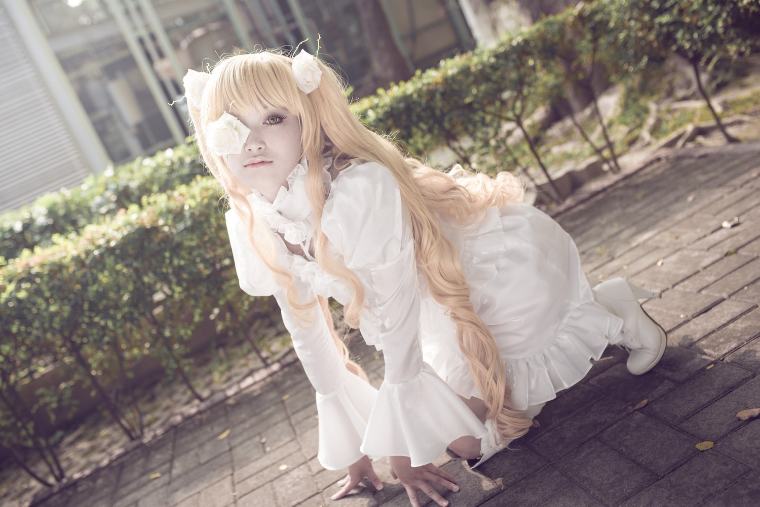 1girl animal_ears blonde_hair blurry boots depth_of_field dress flower hair_ornament kirakishou long_hair long_sleeves outdoors sitting solo white_dress white_footwear