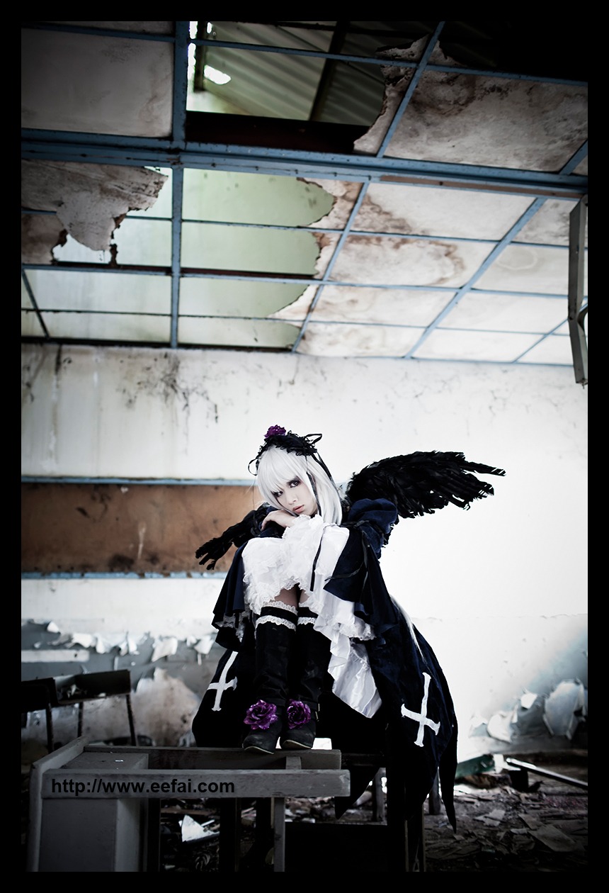 1girl black_border black_gloves feathers gloves letterboxed solo suigintou wings