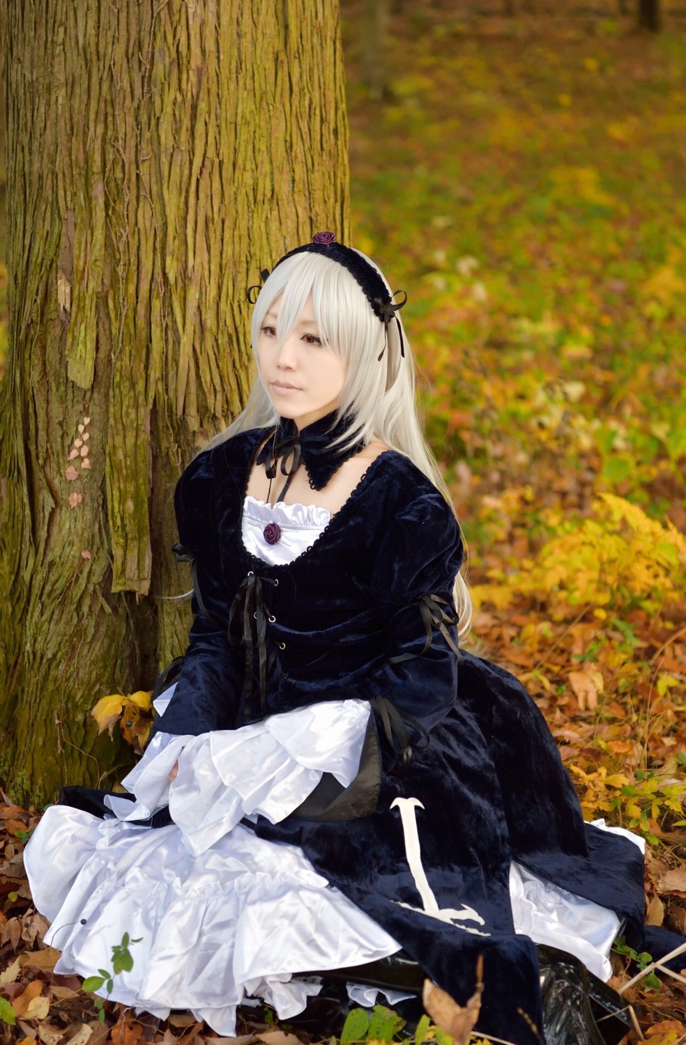 1girl dress flower frills hairband long_hair long_sleeves realistic ribbon silver_hair sitting solo suigintou