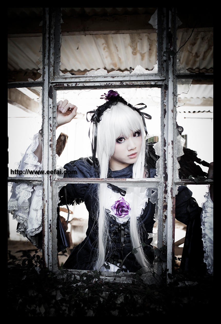 1girl 3d black_border flower gothic_lolita letterboxed lolita_fashion long_hair looking_at_viewer rose solo suigintou