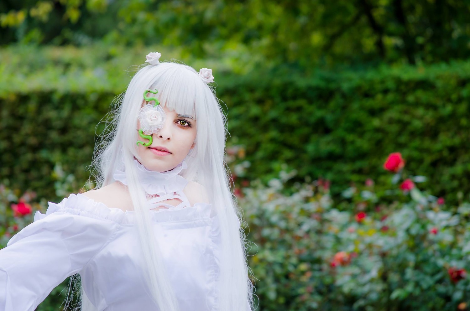 1girl bangs blurry blurry_background blurry_foreground closed_mouth depth_of_field eyepatch flower hair_flower hair_ornament kirakishou lips long_hair looking_at_viewer photo solo upper_body white_flower white_hair