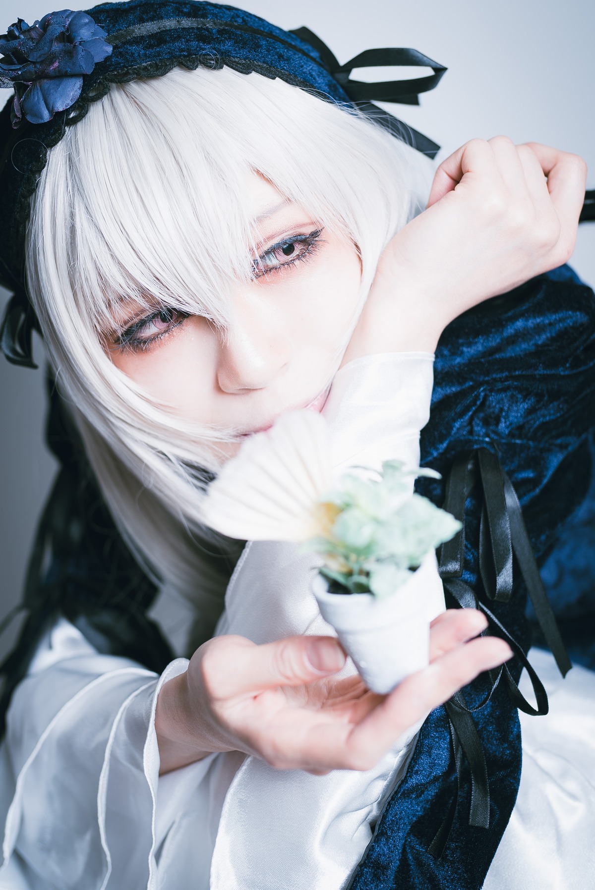 1girl bandaged_arm bandages bangs blurry closed_mouth depth_of_field flower hair_ribbon hairband holding holding_flower long_sleeves looking_at_viewer ribbon rose short_hair solo suigintou white_flower white_hair