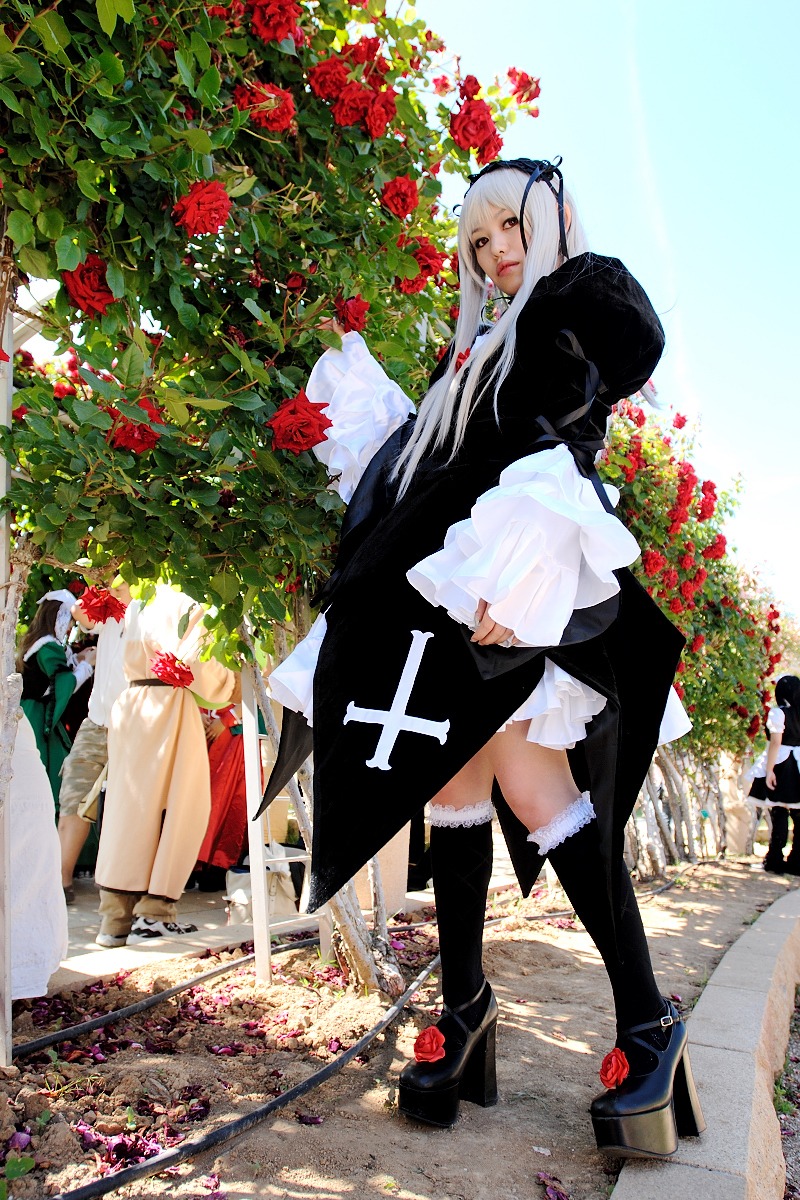 1girl black_footwear dress flower long_hair outdoors red_flower red_rose rose solo standing suigintou