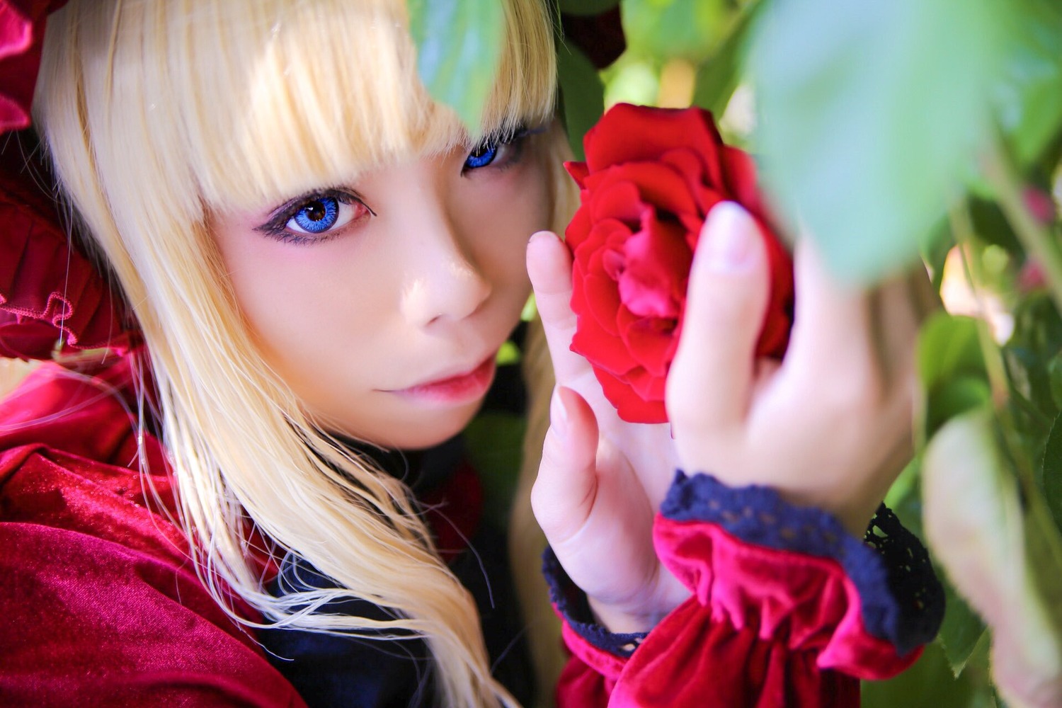 1girl bangs blonde_hair blue_eyes blurry blurry_background blurry_foreground closed_mouth depth_of_field flower holding_flower hood hood_down lips long_hair looking_at_viewer rose shinku smile solo