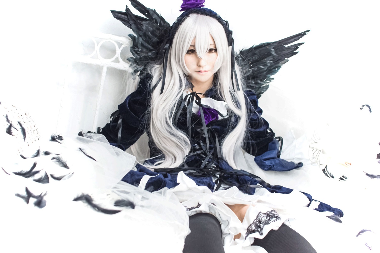 1girl bird black_feathers black_wings dress feathered_wings feathers frills lips long_hair long_sleeves ribbon sitting solo suigintou white_hair wings