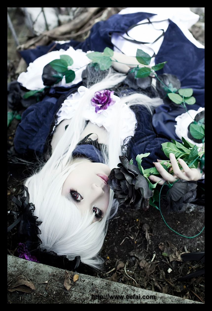 1girl black_border dress flower letterboxed lips makeup pale_skin pillarboxed rose solo suigintou white_hair