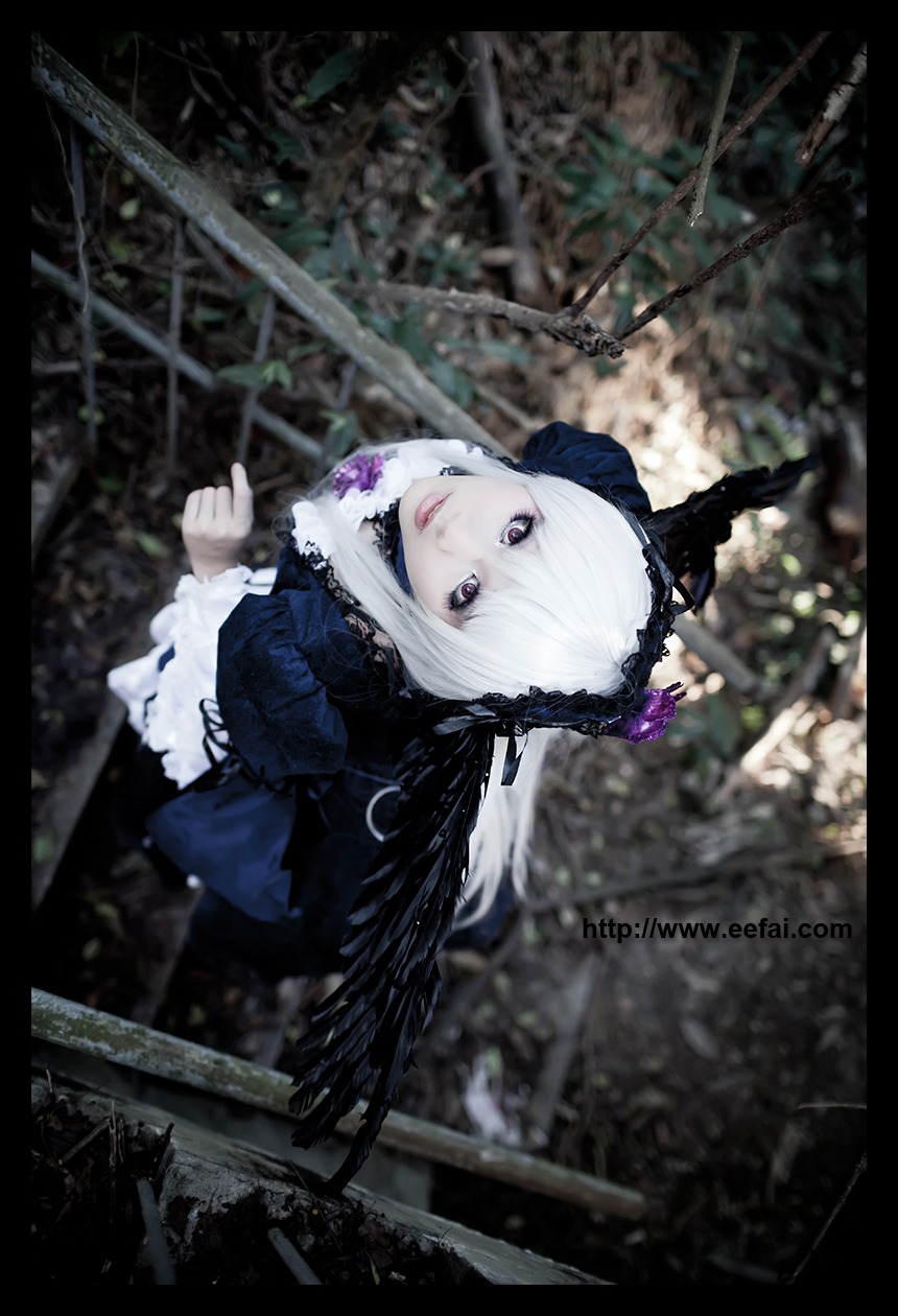 1girl black_border black_wings blurry depth_of_field dress flower frills hairband letterboxed lolita_fashion lolita_hairband long_sleeves looking_at_viewer ribbon rose solo suigintou wings