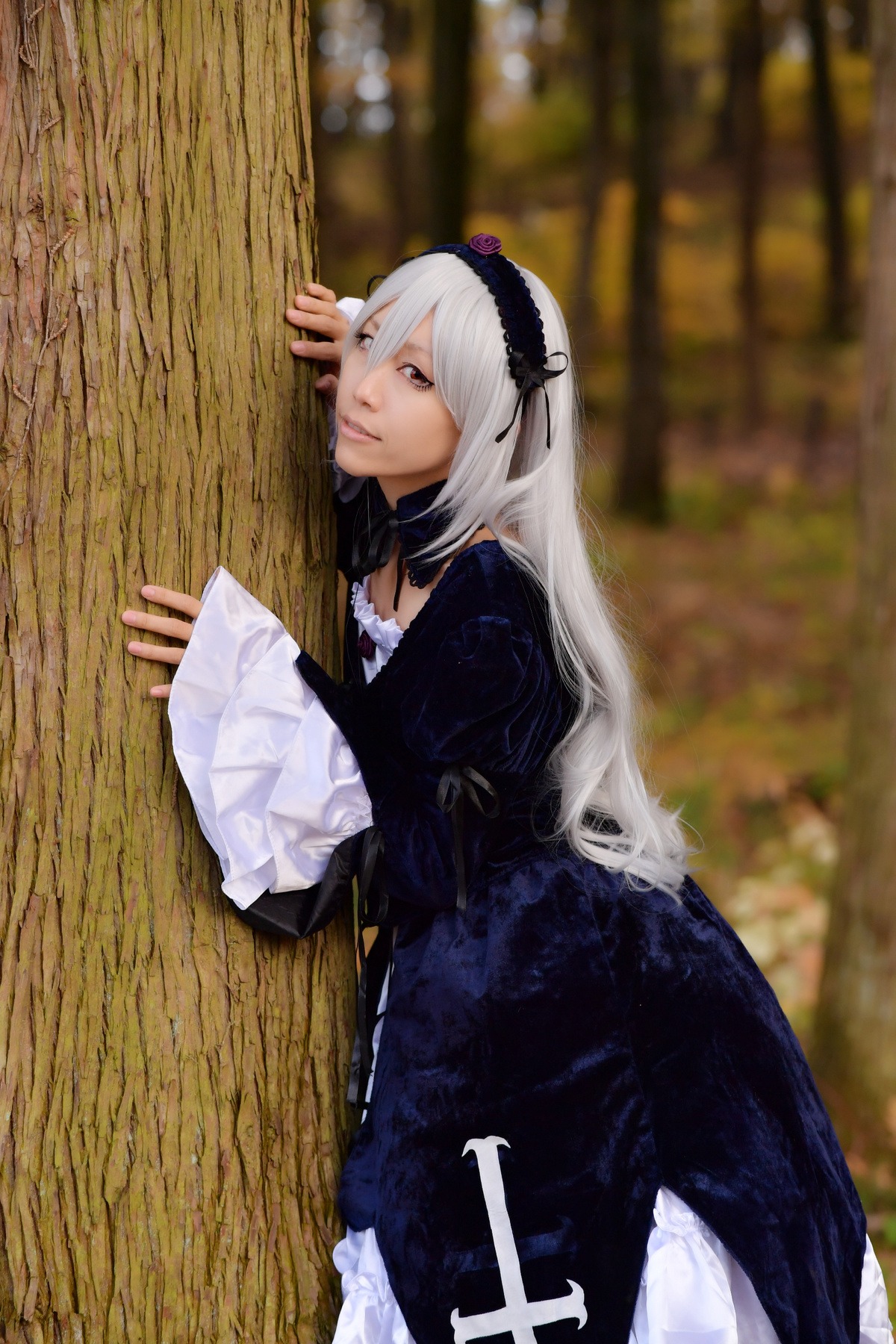 1girl blurry blurry_background cleavage closed_mouth depth_of_field dress flower frilled_sleeves frills hairband long_hair long_sleeves lying on_side silver_hair solo suigintou