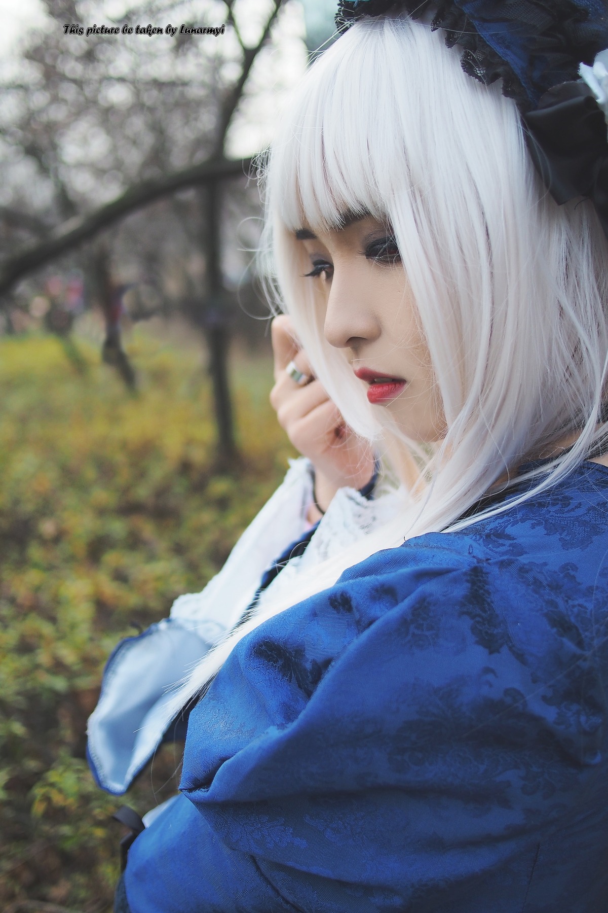 1girl animal_ears bangs blurry blurry_background depth_of_field lips looking_at_viewer nose photorealistic realistic solo suigintou white_hair