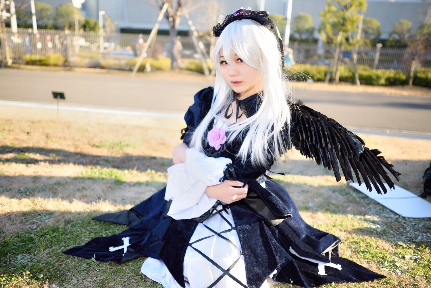 1girl black_dress black_wings blurry building city dress flower frills hairband long_hair long_sleeves outdoors photo photo_background rose solo standing suigintou white_hair wings