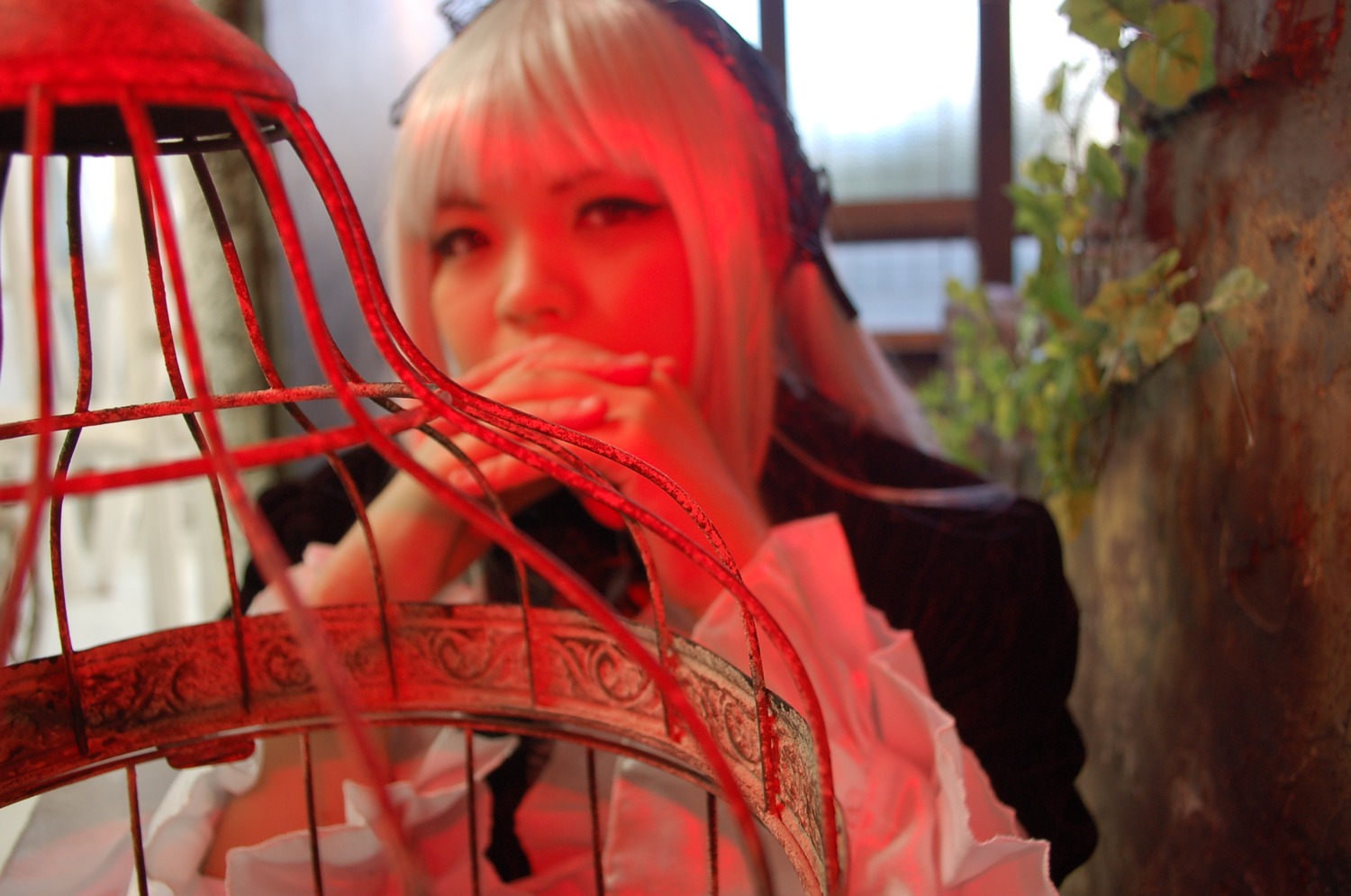 1girl 3d blurry depth_of_field indoors solo suigintou