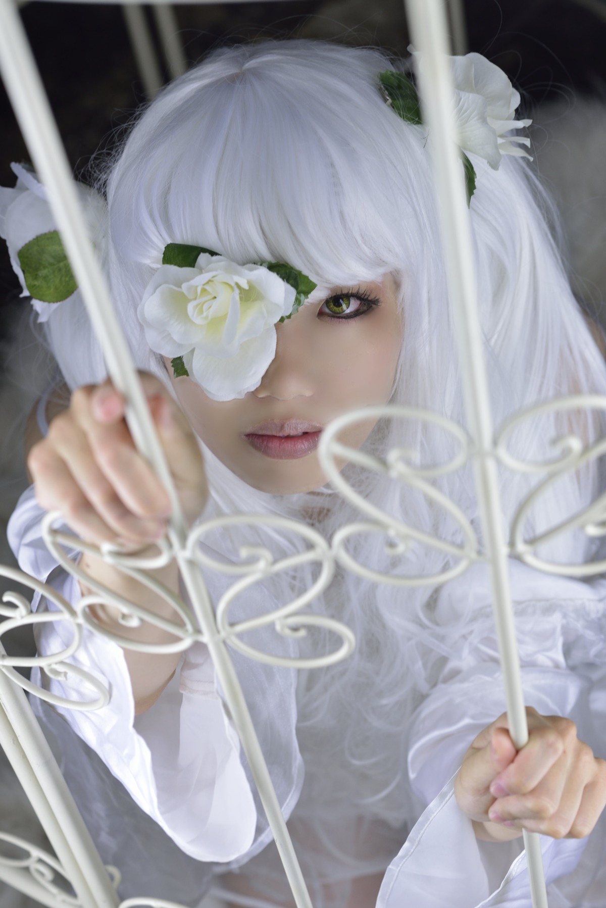 1girl bandaged_arm bangs blurry blurry_foreground depth_of_field eyepatch flower hair_flower hair_ornament kirakishou lips looking_at_viewer one_eye_covered solo teeth upper_body white_flower white_hair white_rose