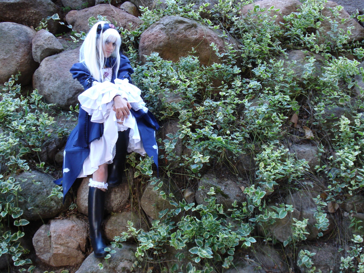 1girl blue_dress boots closed_eyes dress long_hair nature outdoors sitting solo suigintou white_hair