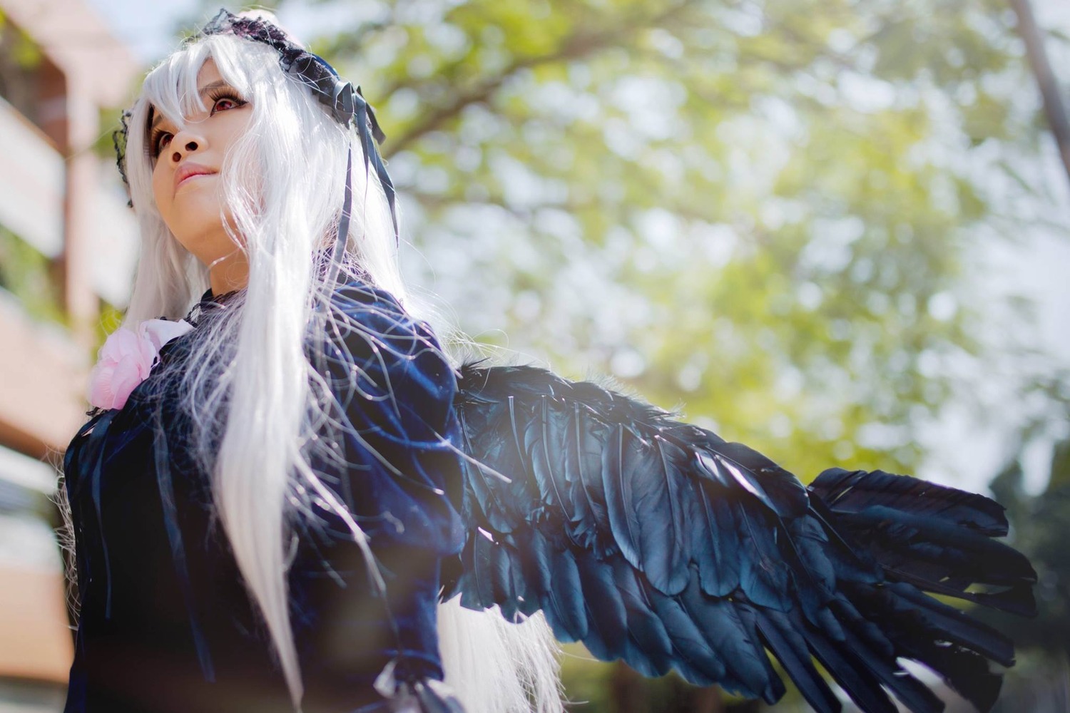 1girl bangs black_dress black_wings blurry blurry_background blurry_foreground closed_mouth depth_of_field dress feathered_wings feathers flower lips long_hair long_sleeves looking_at_viewer profile red_eyes solo suigintou white_hair wings