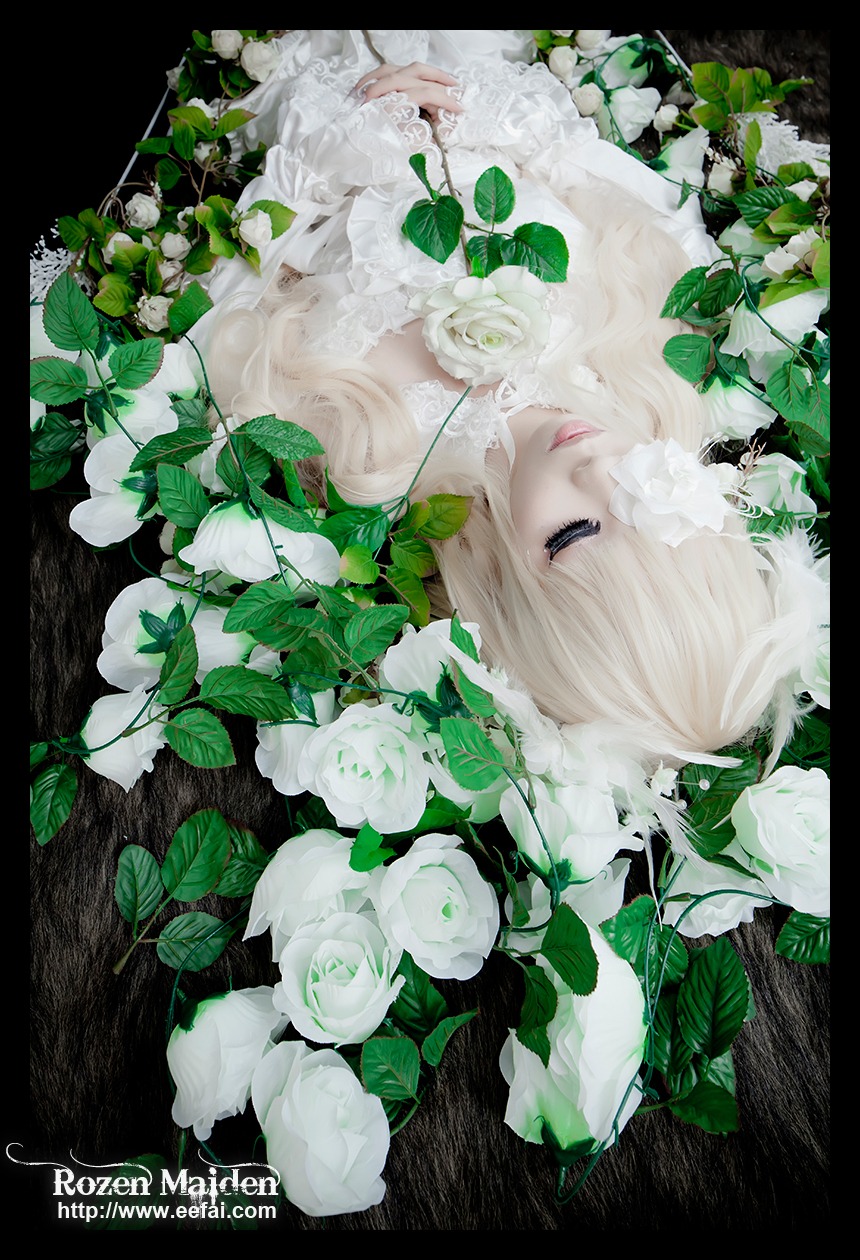 1girl flower kirakishou leaf letterboxed lips long_hair plant rose solo white_flower white_hair white_rose