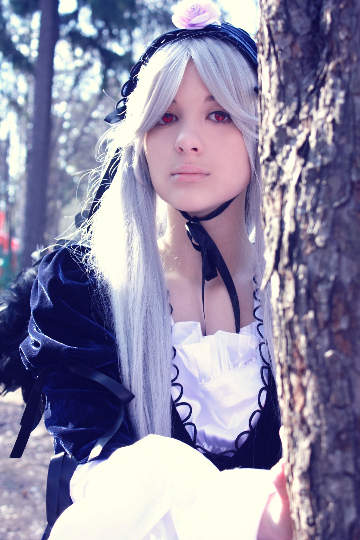 1girl bangs black_choker blurry blurry_background blurry_foreground choker closed_mouth depth_of_field flower hairband lips looking_at_viewer red_eyes snow snowing solo suigintou white_hair