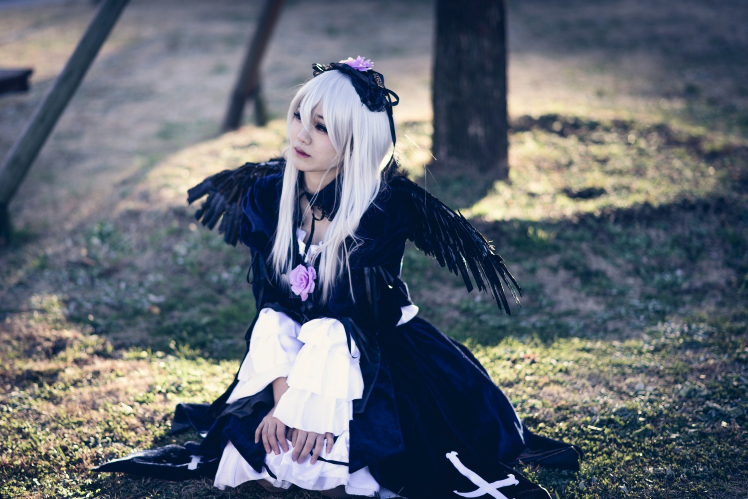 1girl black_dress black_feathers black_wings blurry blurry_background blurry_foreground depth_of_field dress feathered_wings flower frills long_hair long_sleeves sitting solo suigintou wings