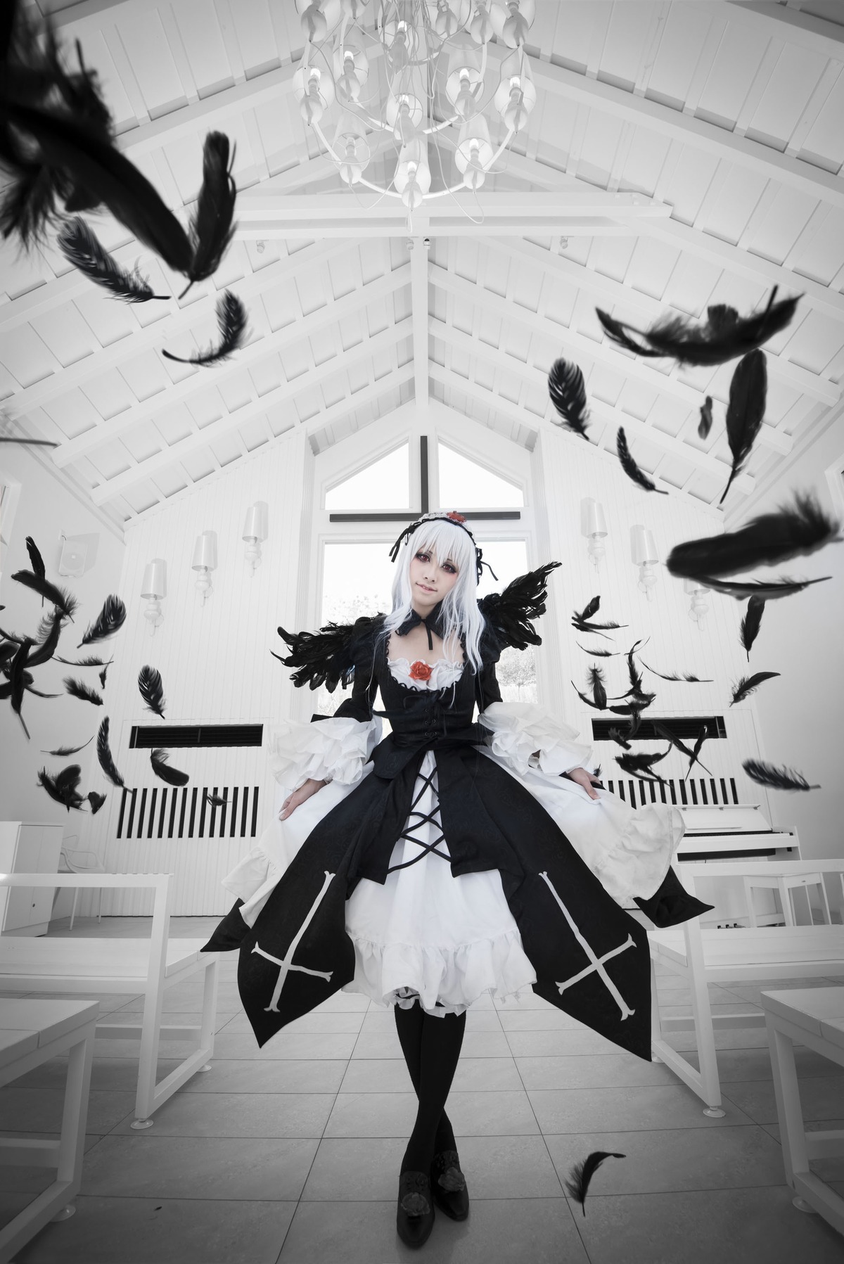 1girl bangs bird black_dress black_feathers black_footwear black_legwear breasts crow dove dress eagle feathers flock grey_eyes indoors long_hair long_sleeves looking_at_viewer silver_hair solo standing suigintou