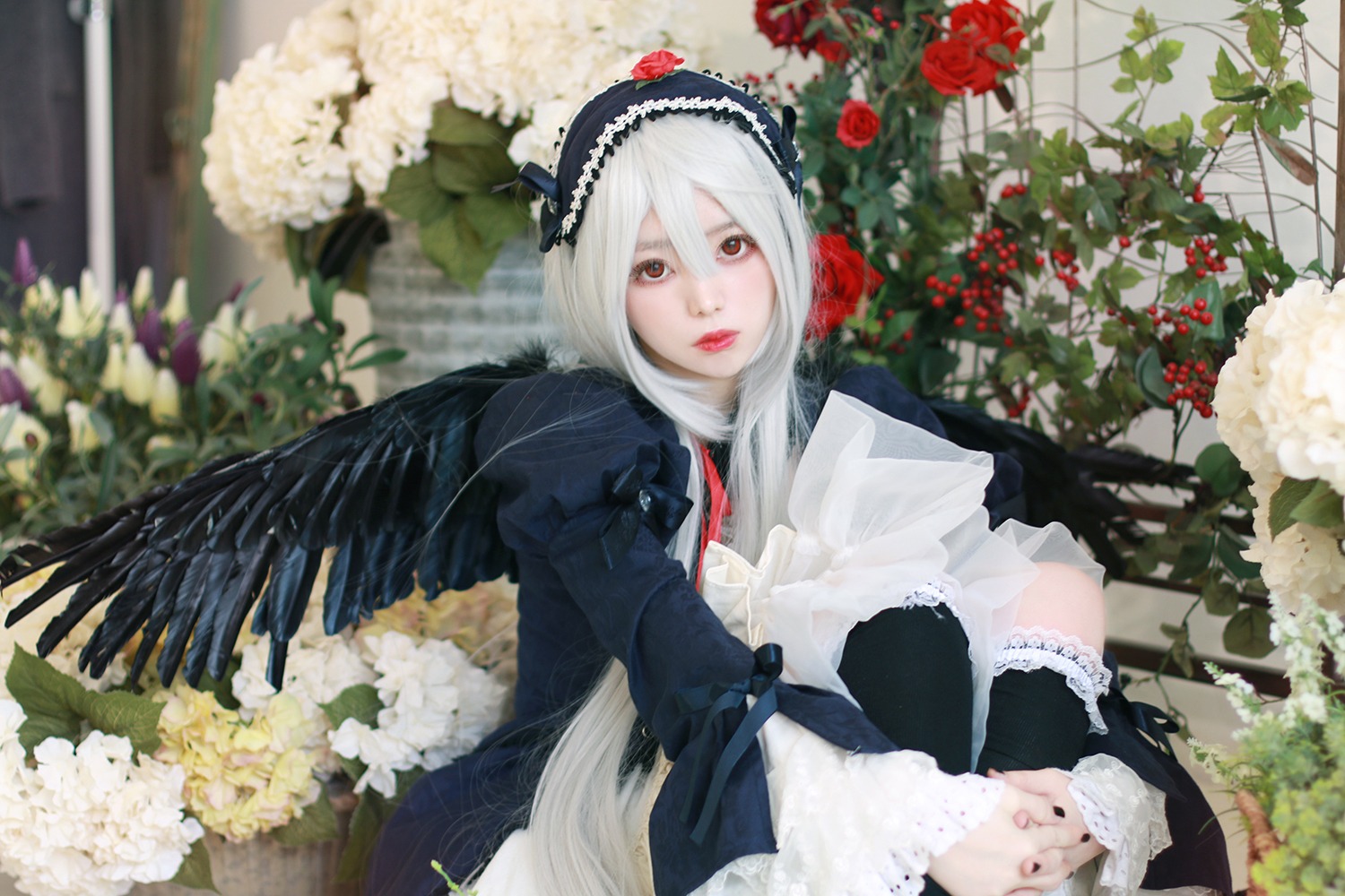 1girl blurry blurry_background depth_of_field dress flower hairband lips long_hair long_sleeves looking_at_viewer red_flower solo suigintou wings