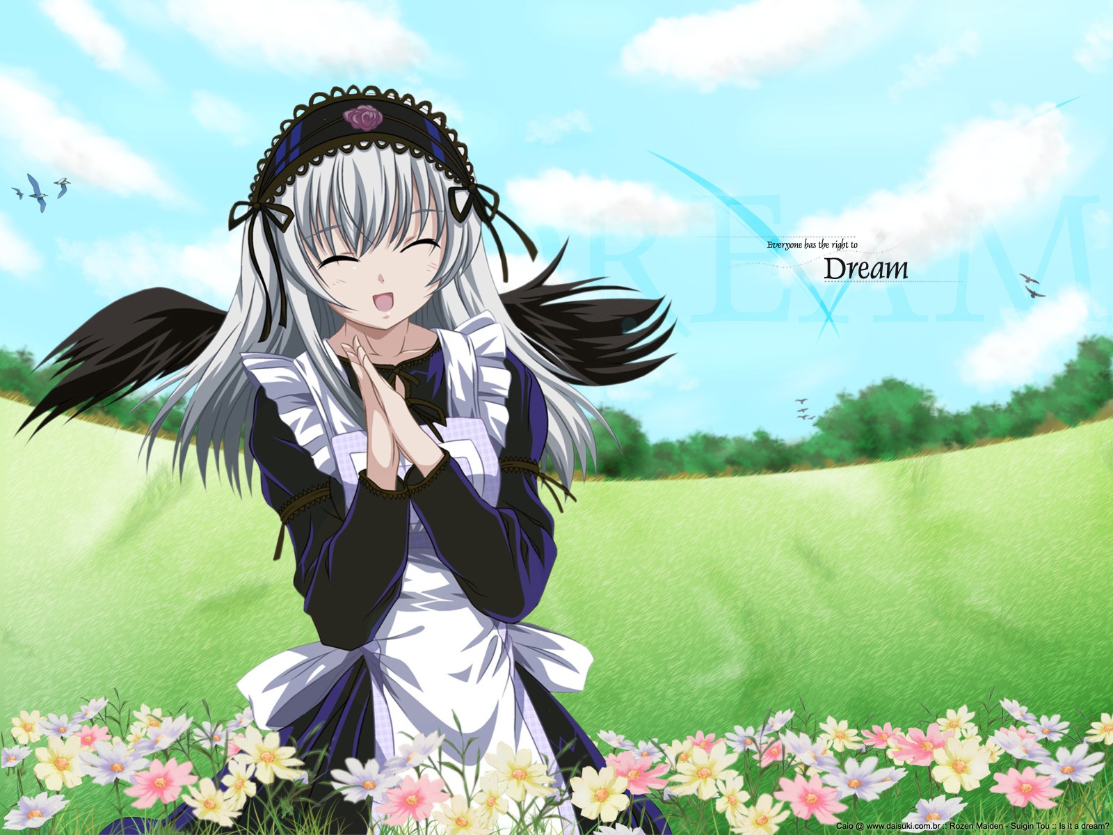1girl :d apron black_dress black_wings blue_sky closed_eyes cloud day dress field flower flower_field grass hairband image long_hair long_sleeves open_mouth outdoors own_hands_together ribbon silver_hair sky smile solo suigintou wings