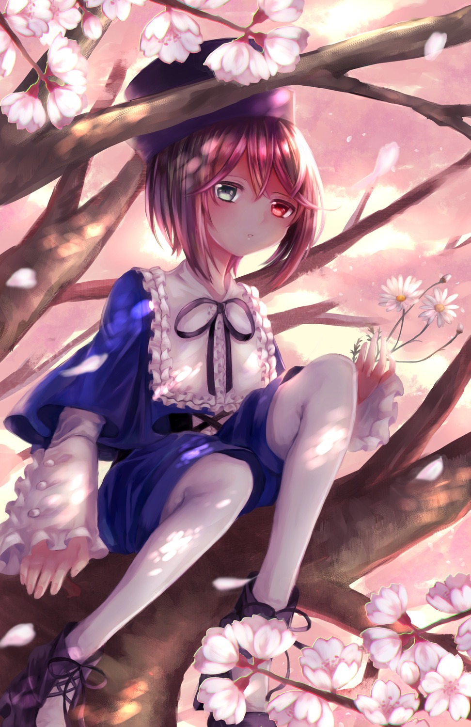 1girl branch cherry_blossoms flower green_eyes hat heterochromia image in_tree long_sleeves looking_at_viewer lush pantyhose petals red_eyes ribbon short_hair sitting sitting_in_tree solo souseiseki tree tree_branch white_legwear