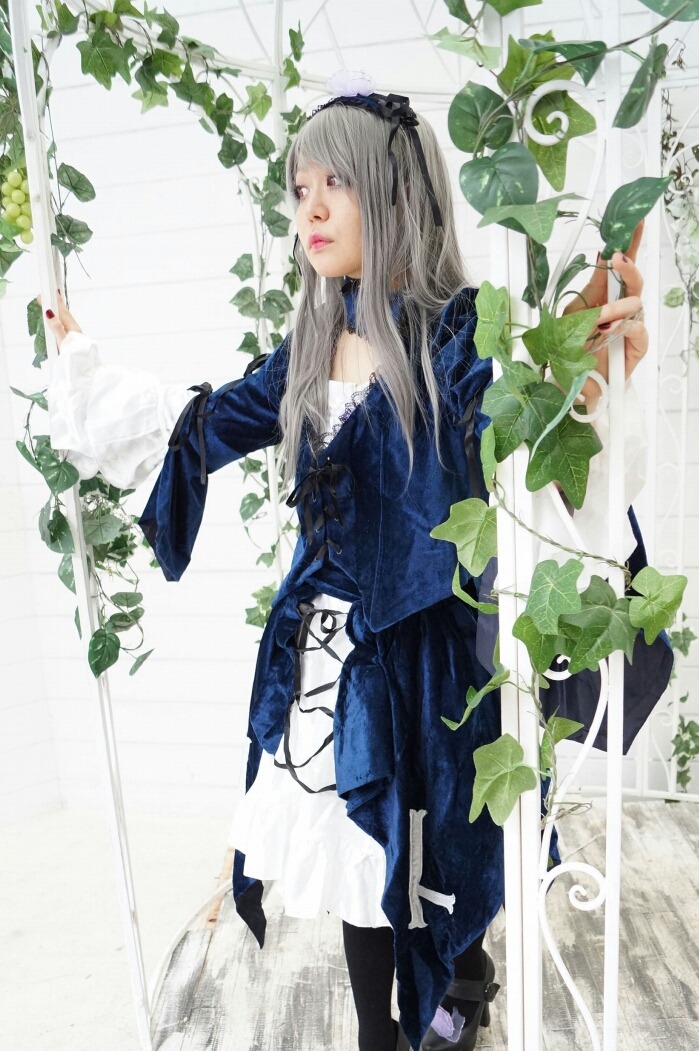 1girl dress flower frills hairband leaf lips long_hair long_sleeves plant silver_hair solo standing suigintou