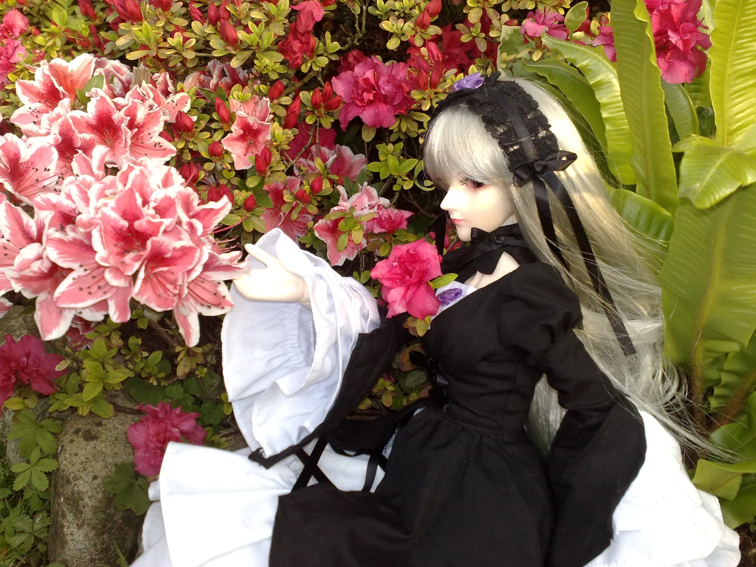 1girl black_dress bouquet doll dress flower long_hair red_flower solo suigintou very_long_hair white_hair