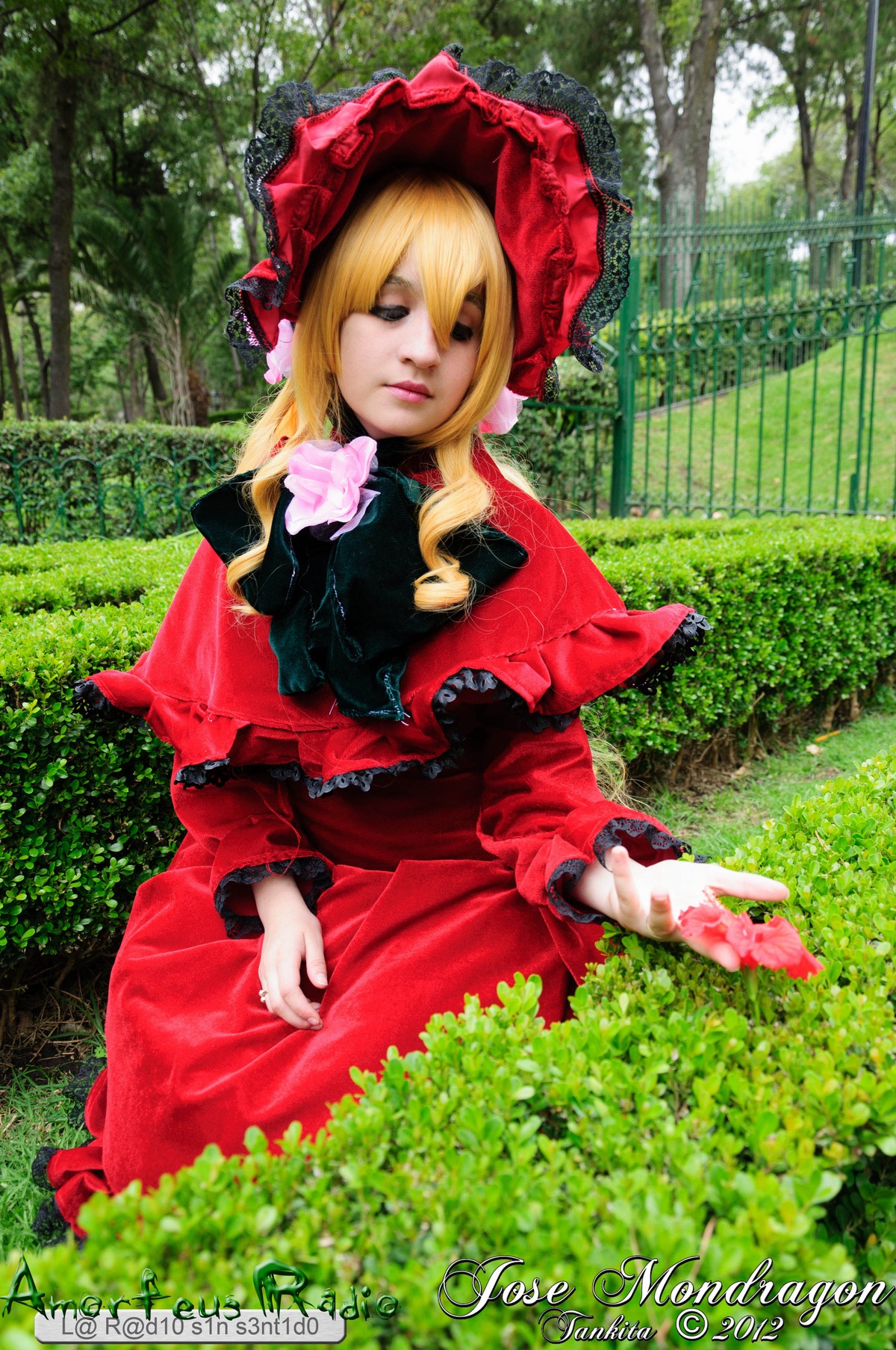 1girl blonde_hair bonnet bow capelet closed_eyes day dress flower grass long_hair long_sleeves outdoors red_dress shinku solo