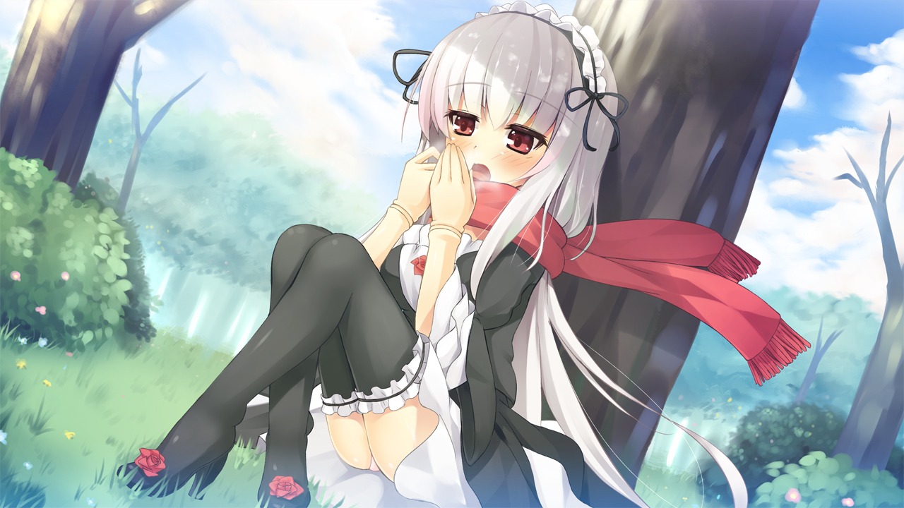 1girl against_tree asa_(swallowtail) black_legwear blush commentary_request doll_joints dress flower frills gothic_lolita grass hairband image joints lolita_fashion long_hair maid_headdress open_mouth outdoors photoshop_(medium) red_eyes rose rozen_maiden scarf silver_hair sitting solo suigintou thighhighs tree underwear