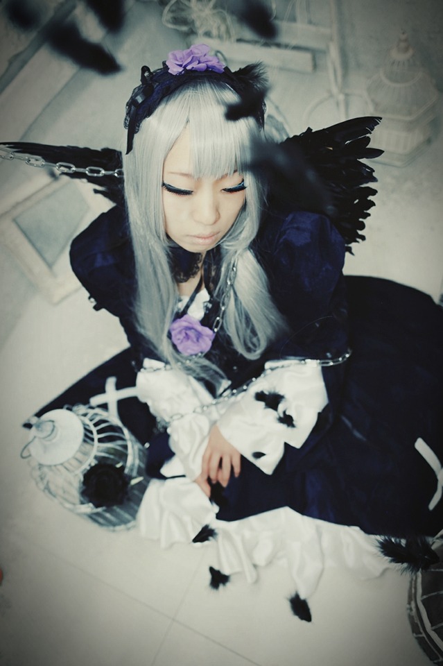 1girl black_dress black_feathers blurry chain closed_eyes depth_of_field dress feathers flower long_hair long_sleeves photo solo suigintou white_hair