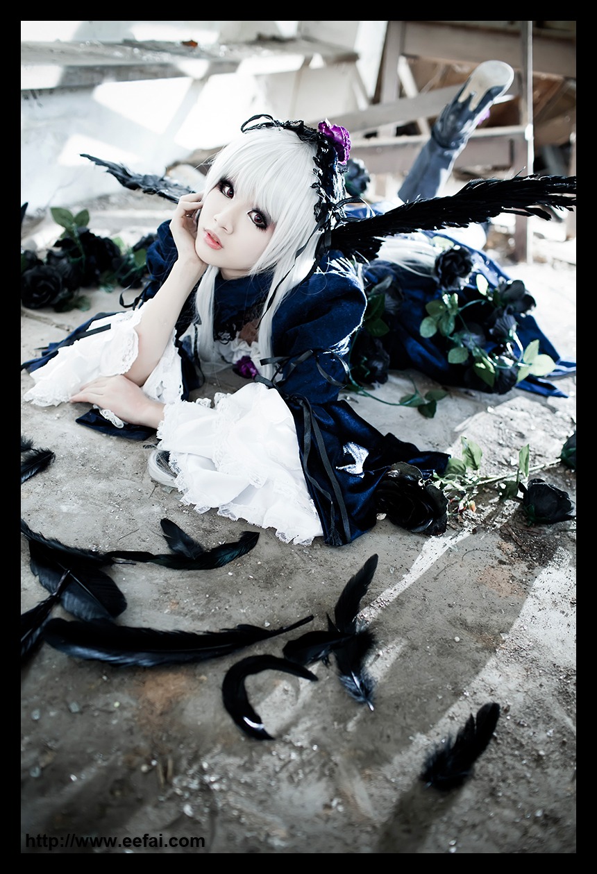 1girl bird black_border blurry bug crow depth_of_field dress feathers flower insect letterboxed lips pillarboxed solo suigintou windowboxed wings