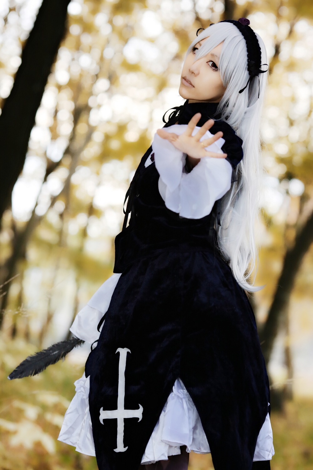 1girl black_dress blurry blurry_background blurry_foreground depth_of_field dress feathers frills hairband long_hair long_sleeves looking_at_viewer silver_hair solo standing suigintou very_long_hair