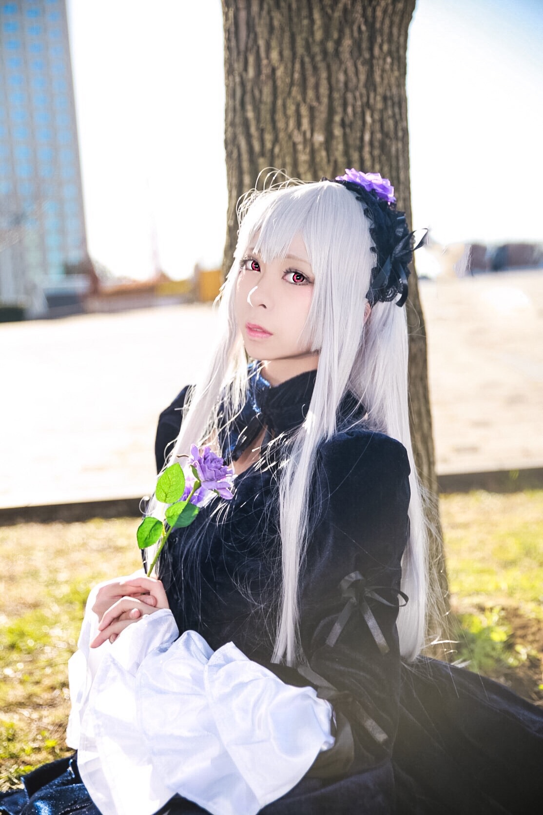 1girl bangs black_dress blurry blurry_background closed_mouth depth_of_field dress flower hairband holding lips long_hair long_sleeves looking_at_viewer outdoors photo red_eyes solo suigintou