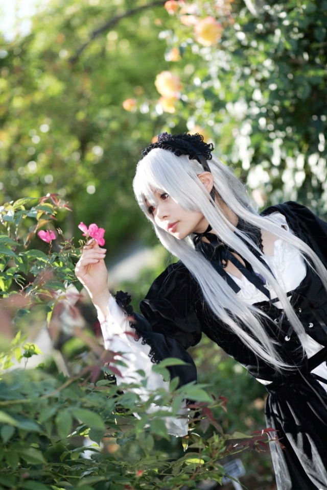 1girl bangs black_dress black_ribbon blurry blurry_background blurry_foreground depth_of_field dress flower frills gothic_lolita hairband holding lips lolita_fashion long_hair long_sleeves ribbon solo suigintou upper_body