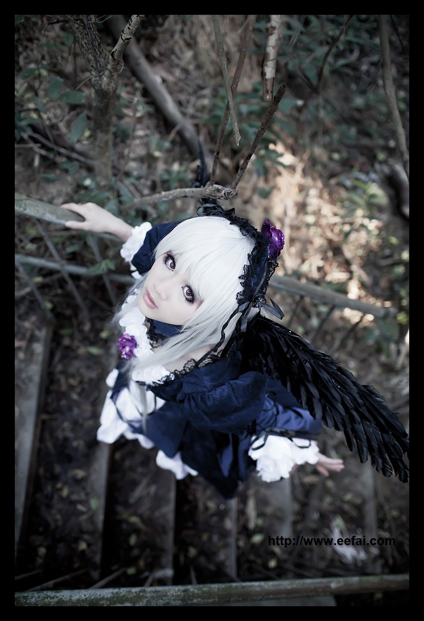 1girl 3d black_border black_wings blurry blurry_background depth_of_field dress feathers flower frills gothic_lolita hairband letterboxed lips lolita_fashion lolita_hairband looking_at_viewer pillarboxed purple_eyes rose solo suigintou wings