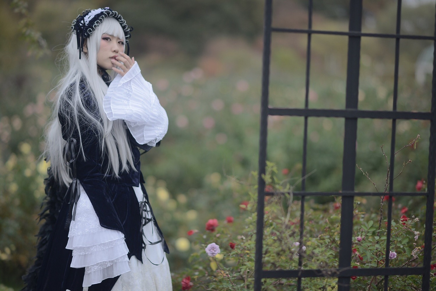 1girl bangs black_dress blurry blurry_background depth_of_field dress flower hairband long_hair long_sleeves solo standing suigintou very_long_hair white_hair