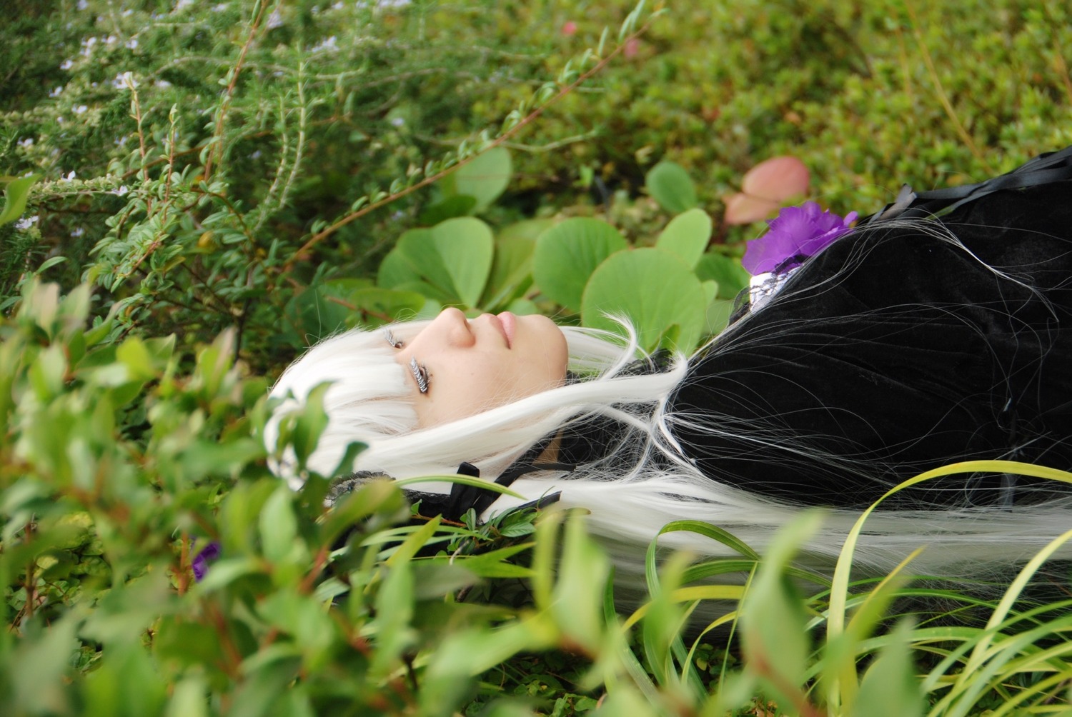 1boy bangs blurry blurry_background blurry_foreground closed_mouth depth_of_field flower from_side leaf lips long_hair outdoors profile solo suigintou white_hair