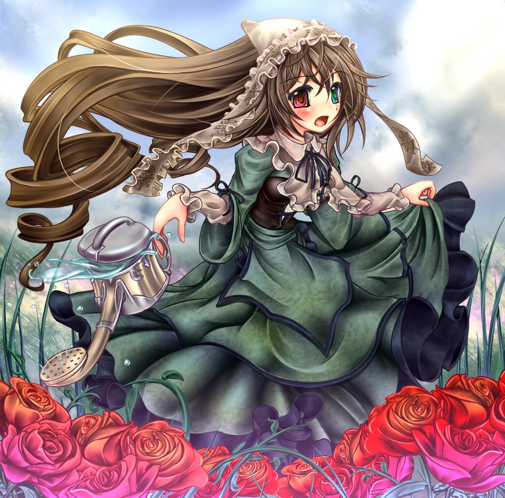 1girl black_rose blush brown_hair commentary_request dress drill_hair flower frills garden grass green_dress green_eyes hat heterochromia image lolita_fashion long_hair long_sleeves monikano open_mouth orange_flower pink_flower pink_rose plant purple_rose rain red_eyes red_flower red_rose rose rose_petals rozen_maiden sky solo souseiseki suiseiseki thorns vines watering_can yellow_rose