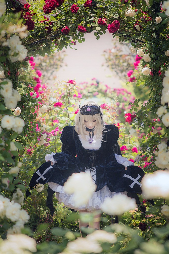 2girls bangs black_dress black_hair blurry closed_eyes day depth_of_field dress flower fur_trim long_hair long_sleeves multiple_girls outdoors plant red_flower red_rose rose sitting solo suigintou