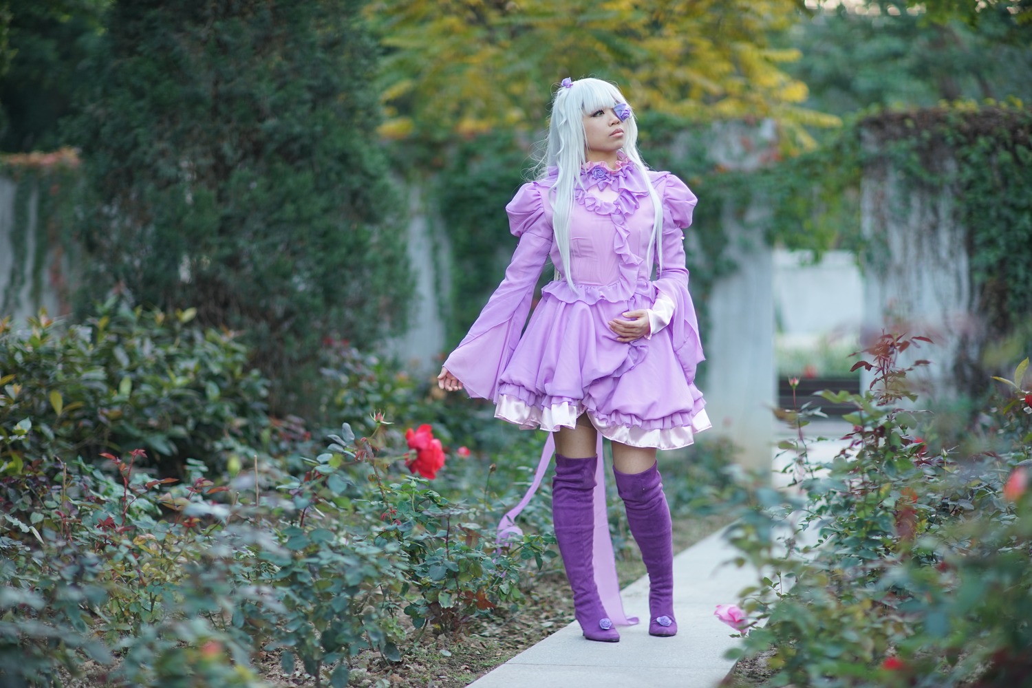 1girl barasuishou blurry blurry_background bow depth_of_field dress flower long_hair long_sleeves outdoors purple_dress purple_eyes purple_legwear solo standing thighhighs