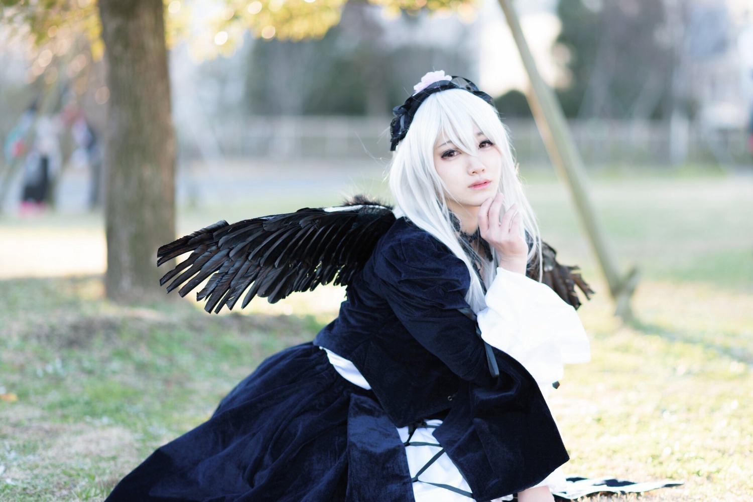 1girl 3d angel_wings bangs black_wings blurry blurry_background blurry_foreground building depth_of_field feathered_wings flower long_hair long_sleeves looking_at_viewer outdoors photo photo_background solo suigintou white_hair white_wings wings